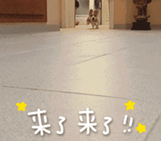 QQ图片20211222160250