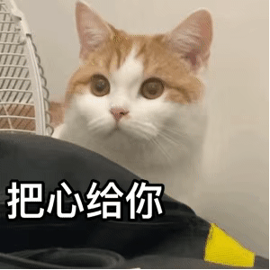 QQ图片20211222160228